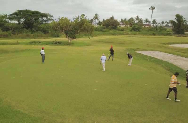 Golfing action