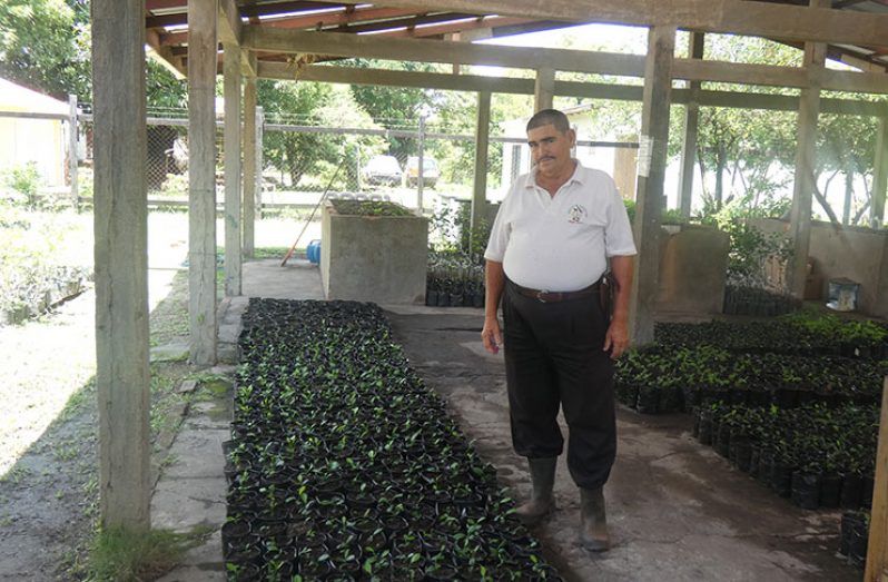 NAREI Farm Manager Joseph Gonsalves