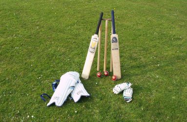 Good-to-see-Cricket-Bat-with-the-Stumps
