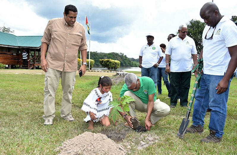 President David Granger participated in the commemoration of National Tree Planting Day 2016 at Iwokrama