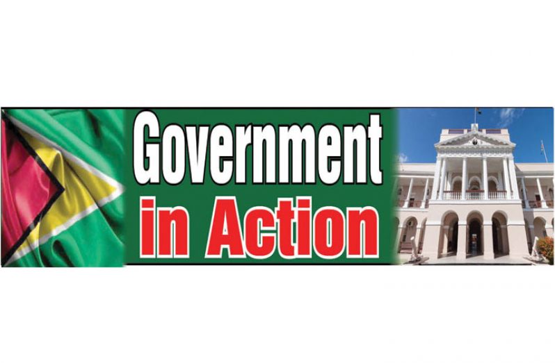 Government-in-Action