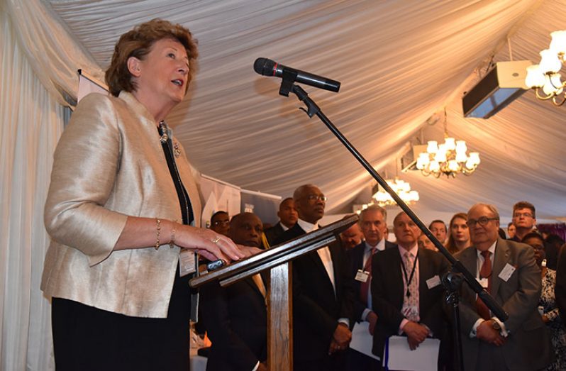 Baroness Anelay announced her visit to Guyana during her speech at the Caribbean Council's House of Lords Reception