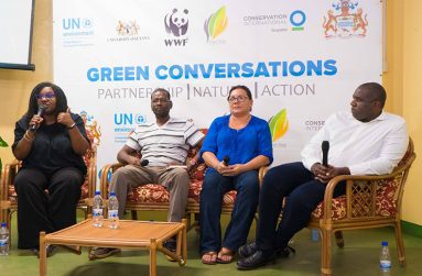 (From left ) Lethem panelists Guest Speaker Danielle Andrade; Attorney-at-law, Kevin Warde, Regional Executive Officer, Region Nine; Christina Edwards, Chairperson, Lethem Power Company and Hon. David Lammy, British Member of Parliament (Photo Credit: Green Conversations Facebook)
