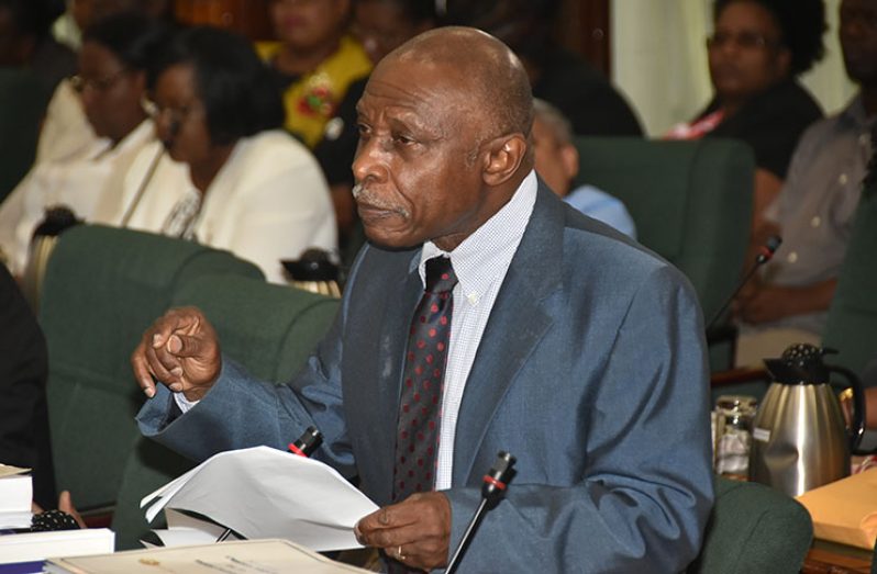 Vice President and Minister of Foreign Affairs, Carl Greenidge