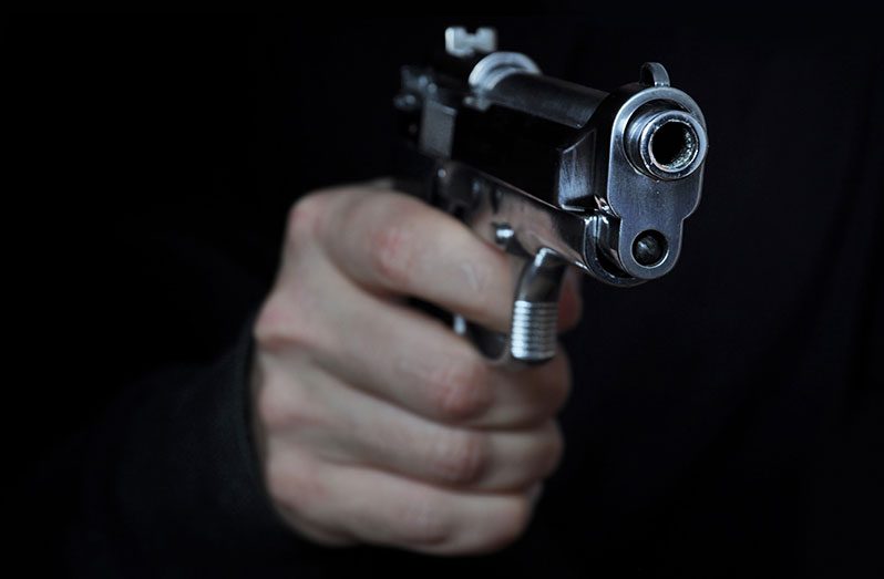 Gun