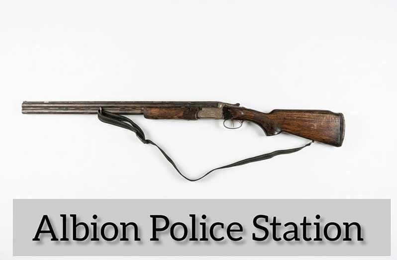 The shotgun and suspected cannabis seized by police