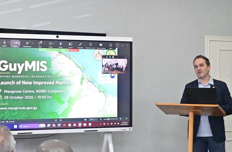 Upgraded mangrove information system to strengthen coastal protection ...