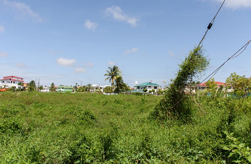 The abandoned plot of land in the GuySuCo Housing Scheme
