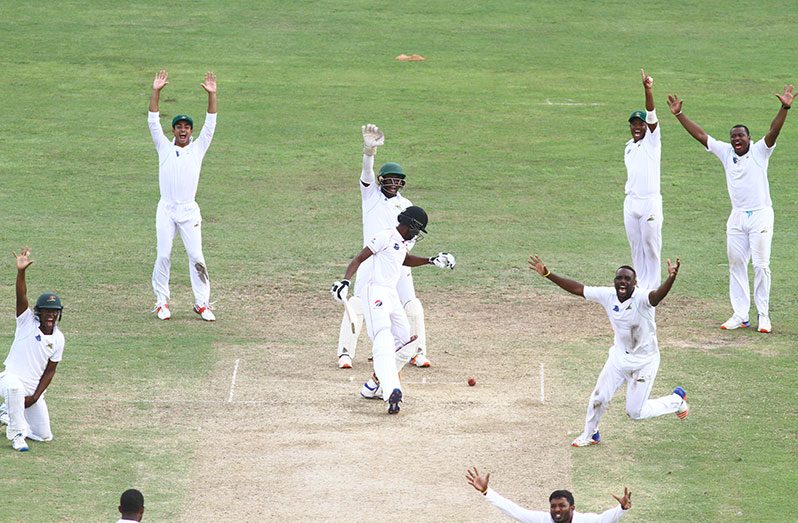 Guyana Harpy Eagles captain Leon Johnson