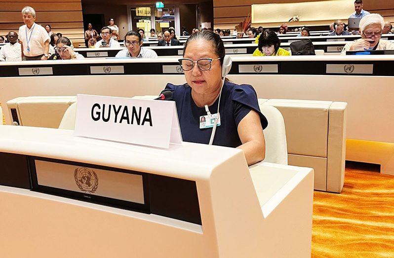 Minister of Amerindian Affairs, Pauline Sukhai