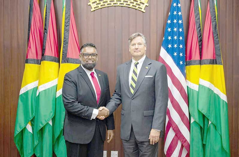 President Dr. Irfaan Ali and U.S. Deputy Secretary of State Christopher Landau