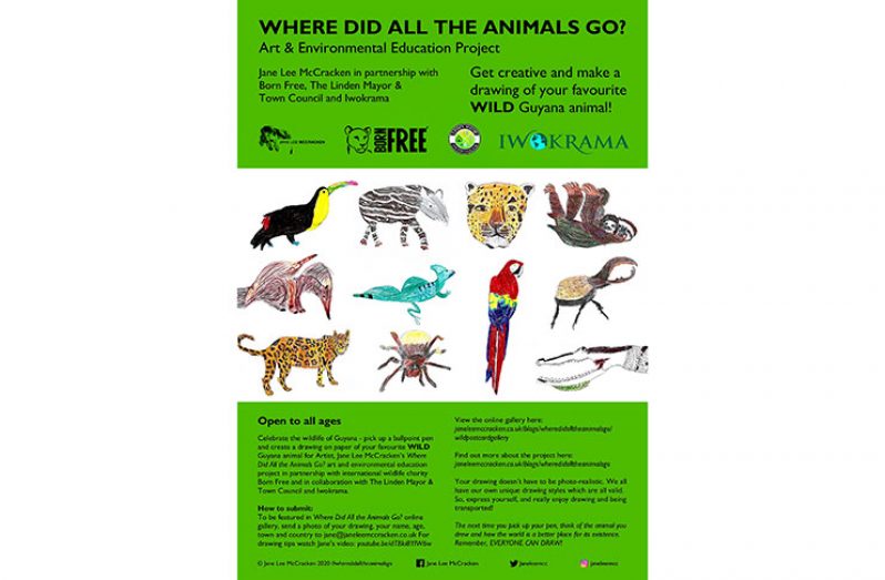 The flyer for the Iwokrama Wildlife Art Project