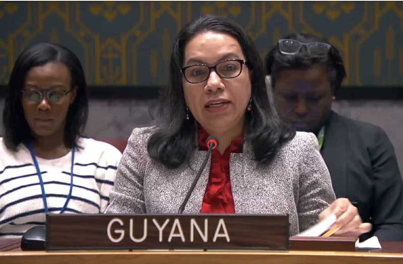 Guyana’s Permanent Representative of The Co-operative Republic of Guyana Carolyn Rodrigues-Birkett