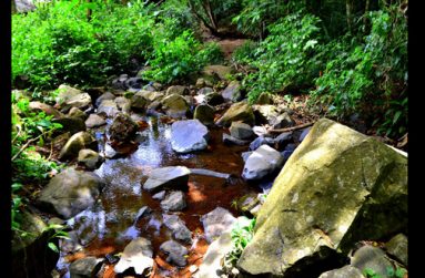 Water among the rocks at the bottom of the waterfalls