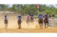 More than 80 horses are confirmed for Sunday’s races at Port Mourant
