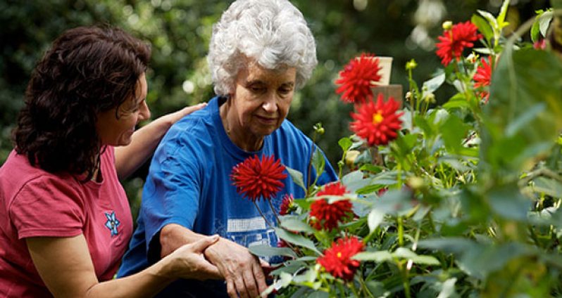 Horticultural Therapy (Internet photo)