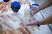 The Hub features resources to help fishers improve the handling and storage of seafood at sea and at markets