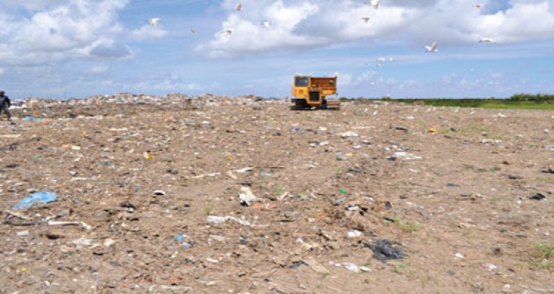 A section of the Haags Bosch landfill site