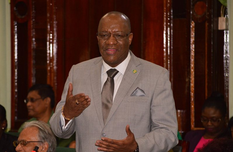 Minister of State Joseph Harmon as he spoke in the National Assembly on Thursday afternoon.