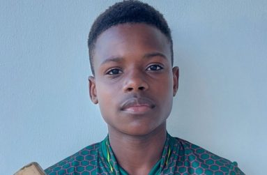 15 year-old  Theo Henry slammed  101 from 81 balls