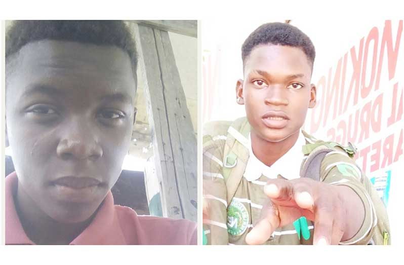 Dead: 16-year-old Isaiah Henry and 19-year-old Joel Henry
