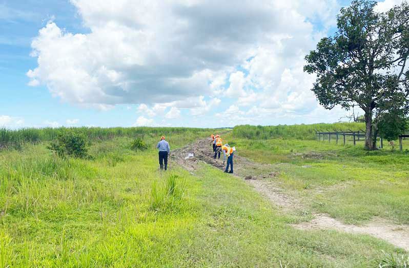 FLASHBACK: A technical team surveying the route for the new Schoonord-Parika highway