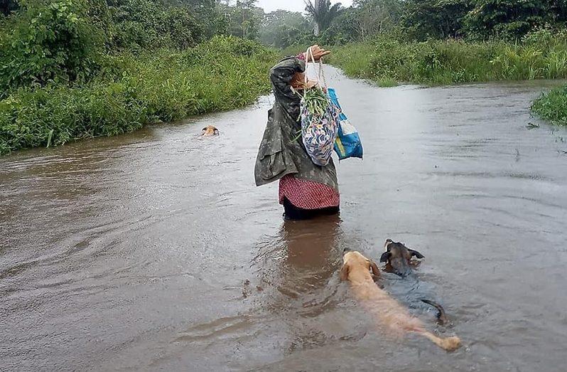 A resident manoeuvering through flood waters in North Rupununi Sub-District Valley