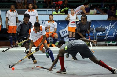 Flashback! Action in the 2017 edition of the Diamond Mineral Water Indoor Hockey Festival