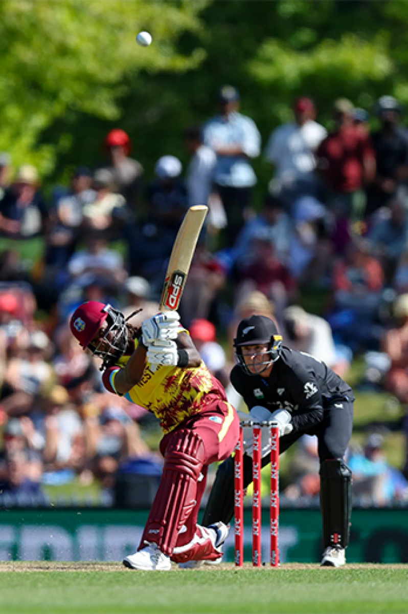 Shamar Springer gave West Indies hope at the death • Nov 09, 2025•Getty Images