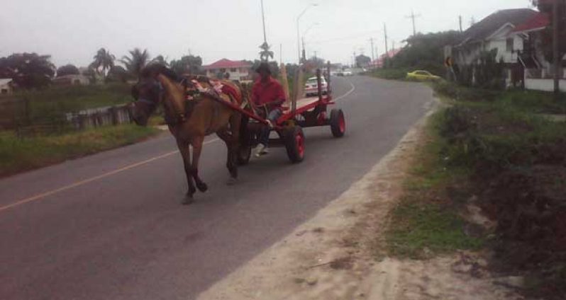 The traditional horse drawn cart is still used extensively in the village