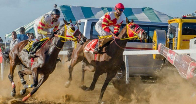The Guyana Cup Fever always attracts the country’s best horses as well as thousands of racing fans.