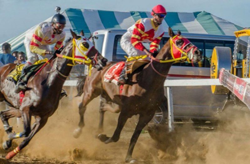 The Guyana Cup Fever always attract the country’s best horses as well as thousands of racing fans.