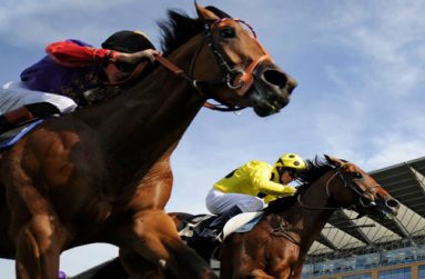Horse-Racing