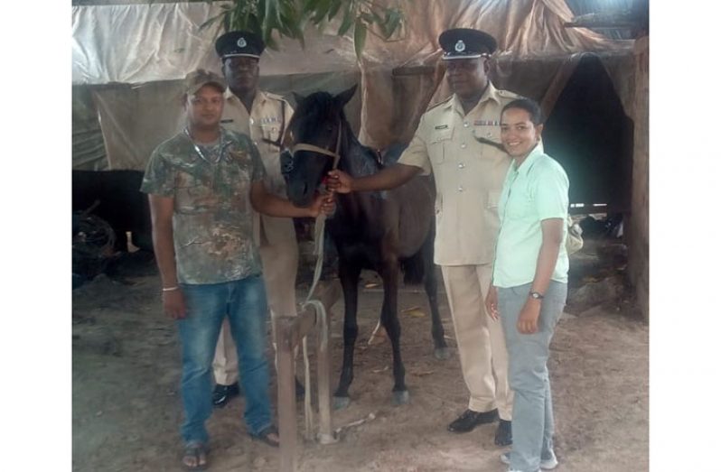 The two business persons formally handed over one of the horses to Commander, Senior Superintendent Kevin Adonis, in the company of Superintendent, Keithon King