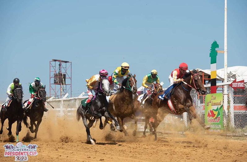 Horse Racing action in 2024 is expected to be intense