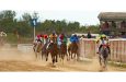 The horse racing legislation is expected to act from the upcoming Guyana Cup