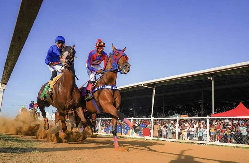 CARICOM The Gold Cup horse race is set for July 5 at Port Mourant