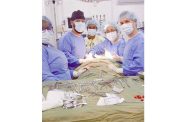 A dedicated surgical team at the Suddie Public Hospital successfully performs one of over 400 procedures completed in the first half of 2025, showcasing the hospital’s ongoing commitment to quality healthcare delivery on the Essequibo Coast.