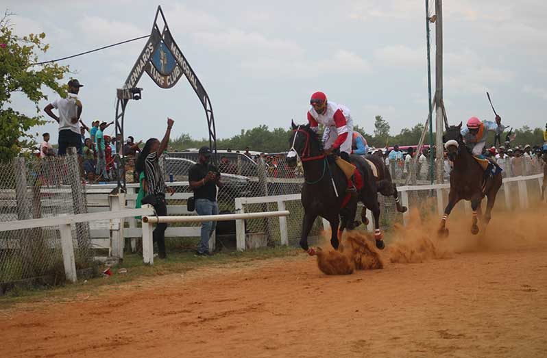 Hot and Lucky came in hot to pull off an upset over Jagdeo Racing Stables