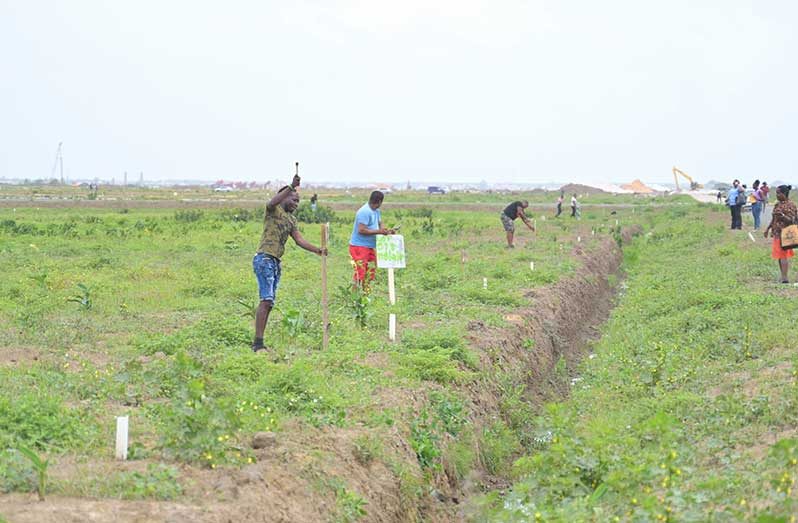 Some 150 families who were previously allocated low-income residential lots in the new Two Friends Phase Two housing development, East Coast Demerara (ECD), recently participated in a lot identification exercise (Ministry of Housing and Water photos)