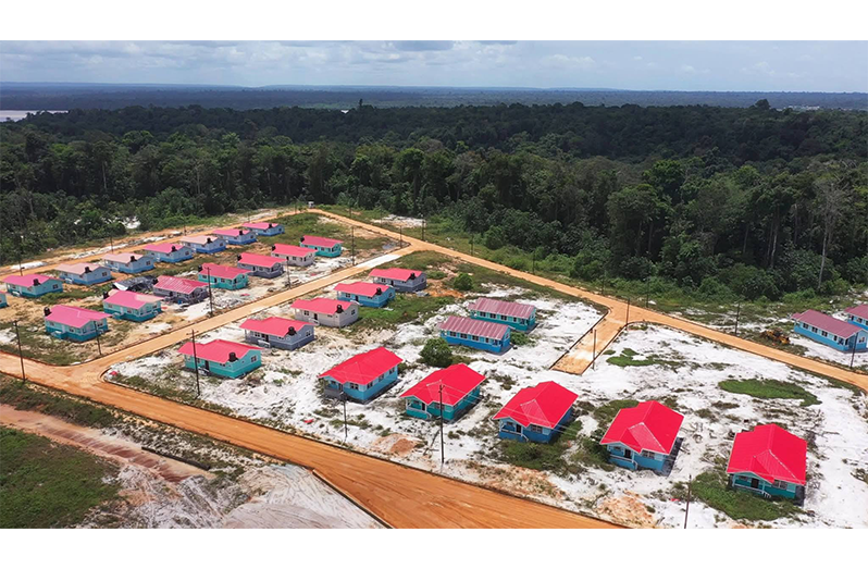 The housing project