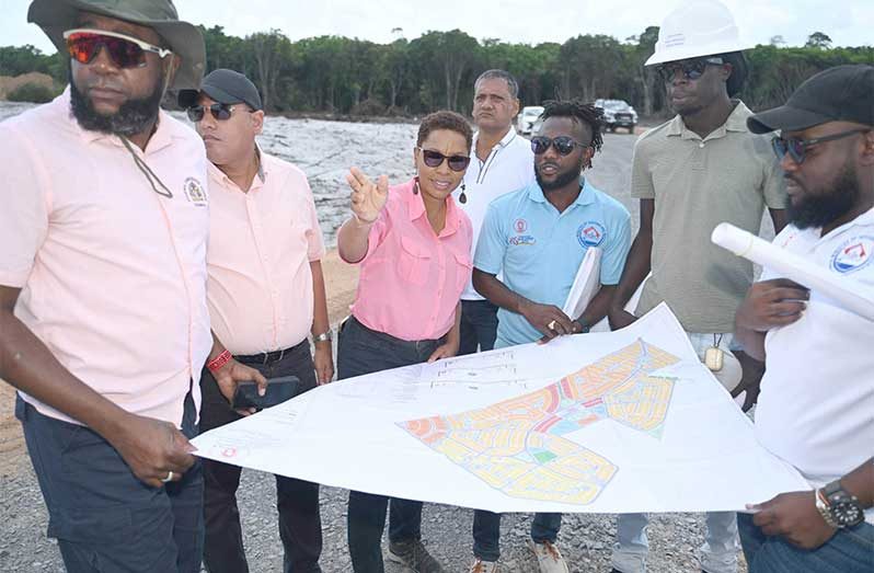Housing Ministers of Housing, Collin Croal and Vanessa Benn, flanked by Ministry of Housing officials, making decisions at Wismar Housing Development, Phase One, in Region Ten