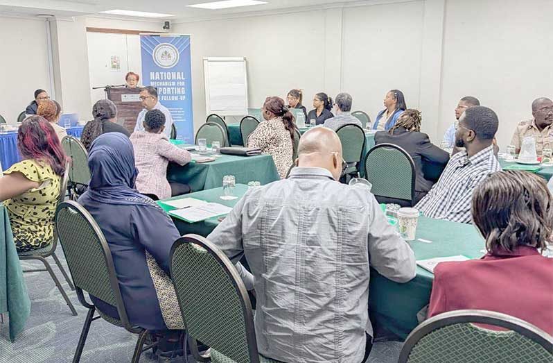 The inter-ministerial body responsible for coordinating the country’s human rights treaty reporting, convened its final meeting for 2025 on Wednesday