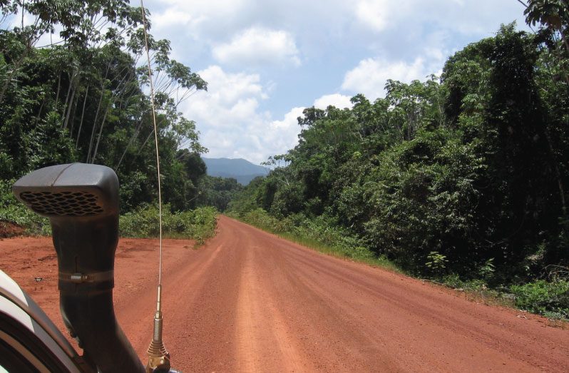 The Iwokrama Road