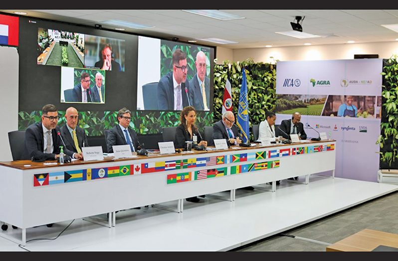 Roberto Vega, Director of the Syngenta Value Chain; Jesús Quintana, Director-General of CIAT; Christian Asinelli, Vice-President of the Development Bank of Latin America-CAF; Beatriz Arrieta, Regional Food Value Chain Manager of Bayer; Jorge Werthein, Special Advisor to the Director-General of IICA; and Keithlin Caroo, IICA Special Ambassador for the Africa-Americas Summit (IICA photo)