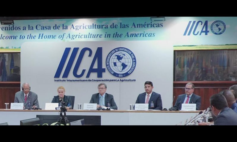 The opening ceremony of the high-level meeting organised by the IICA was attended by 2020 World Food Prize winner Rattan Lal, IICA's Special Envoy to COP 27 and the world’s leading authority on soil science; Lydia Peralta, Acting Minister of Foreign Affairs and Worship of Costa Rica; Manuel Otero, Director General of IICA; Victor Carvajal Porras, Minister of Agriculture and Livestock of Costa Rica; Laura Suazo, Secretary of Agriculture of Honduras and Chair of IICA’s Executive Committee; and Lloyd Day, Deputy Director General of IICA (IICA photo)