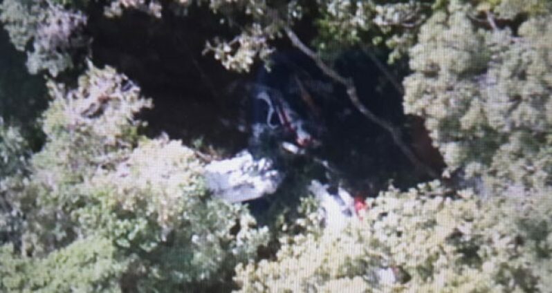 This photo released by the GCAA Rescue Centre shows the damaged aircraft in the dense Mazaruni forest