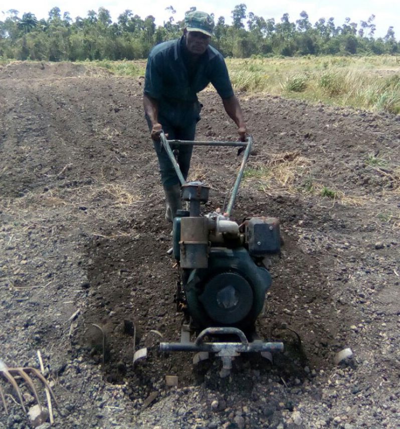Young farmer Dextor Southwell uses one of his equipment to aid him in the land preparation process