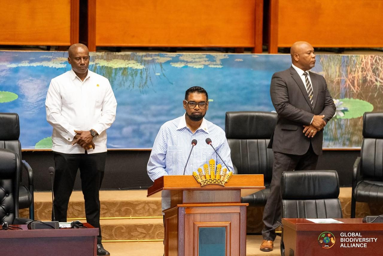 President Dr Irfaan Ali