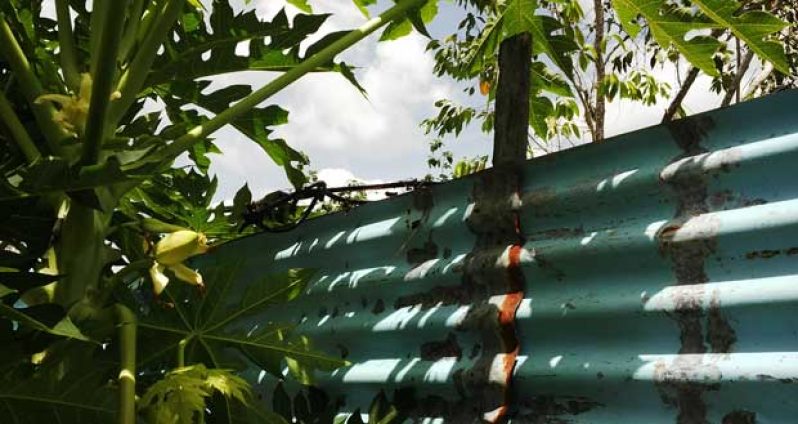 The power lines atop the zinc fence of the Balkarran’s residence (Michel Outridge photos)